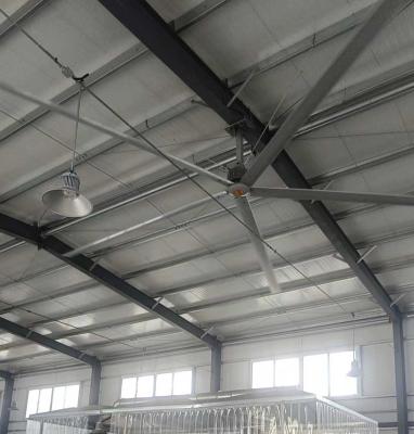 HVLS Fan